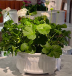 Bruka design blomsterkrukke Signe - Hvit