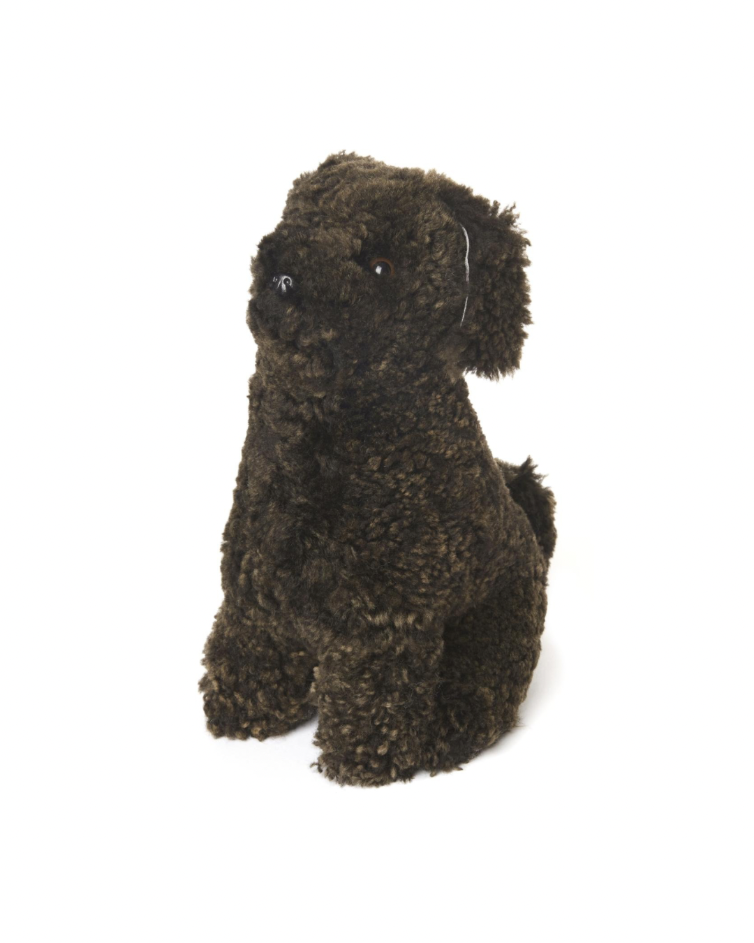 Skinnwille Curly Coco dog - Brun