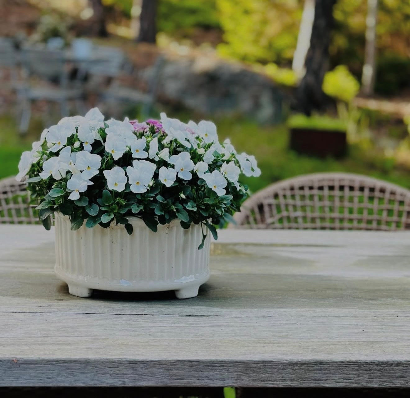 Bruka design blomsterkrukke Signe - Hvit