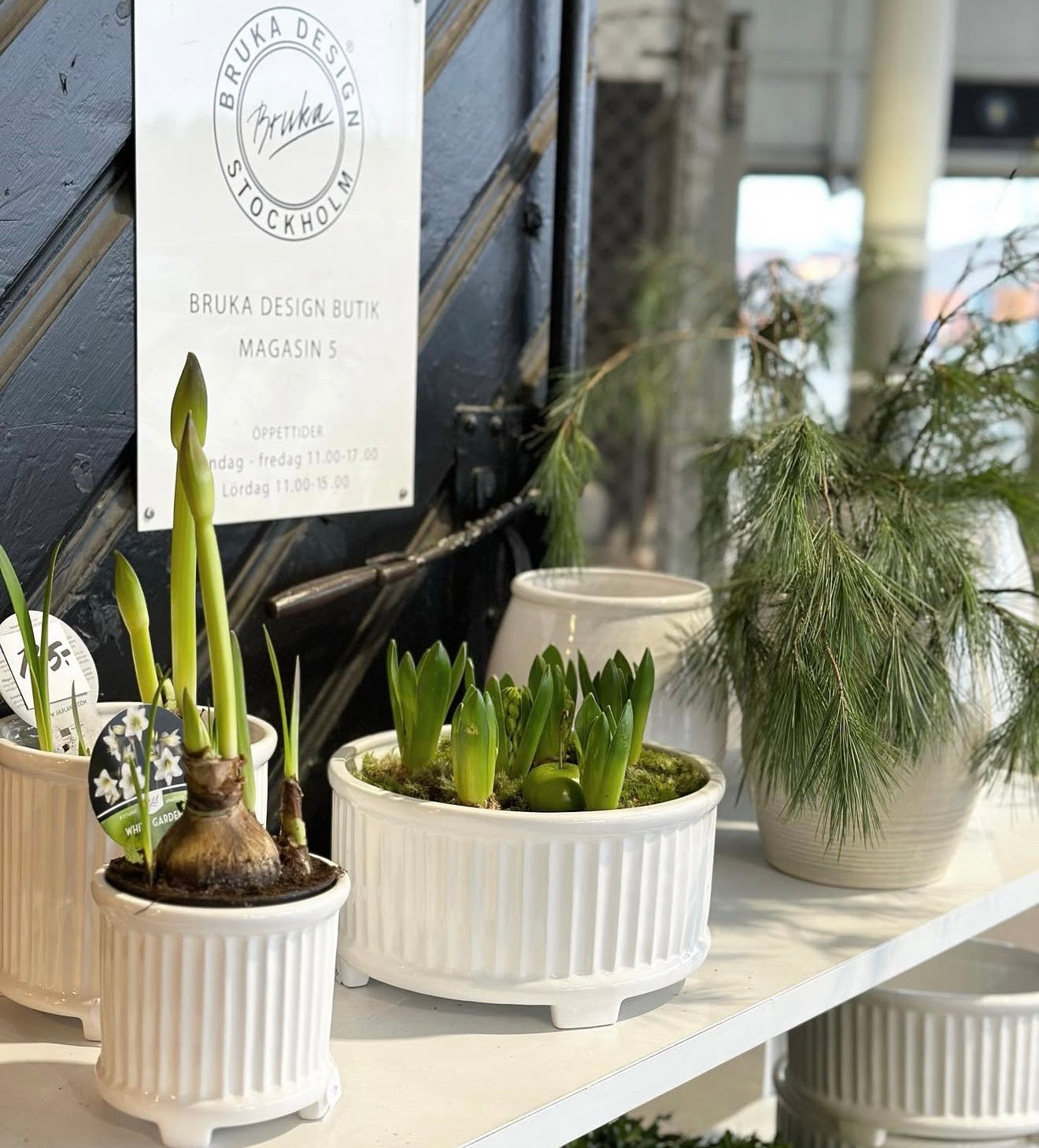 Bruka design blomsterkrukke Signe - Hvit