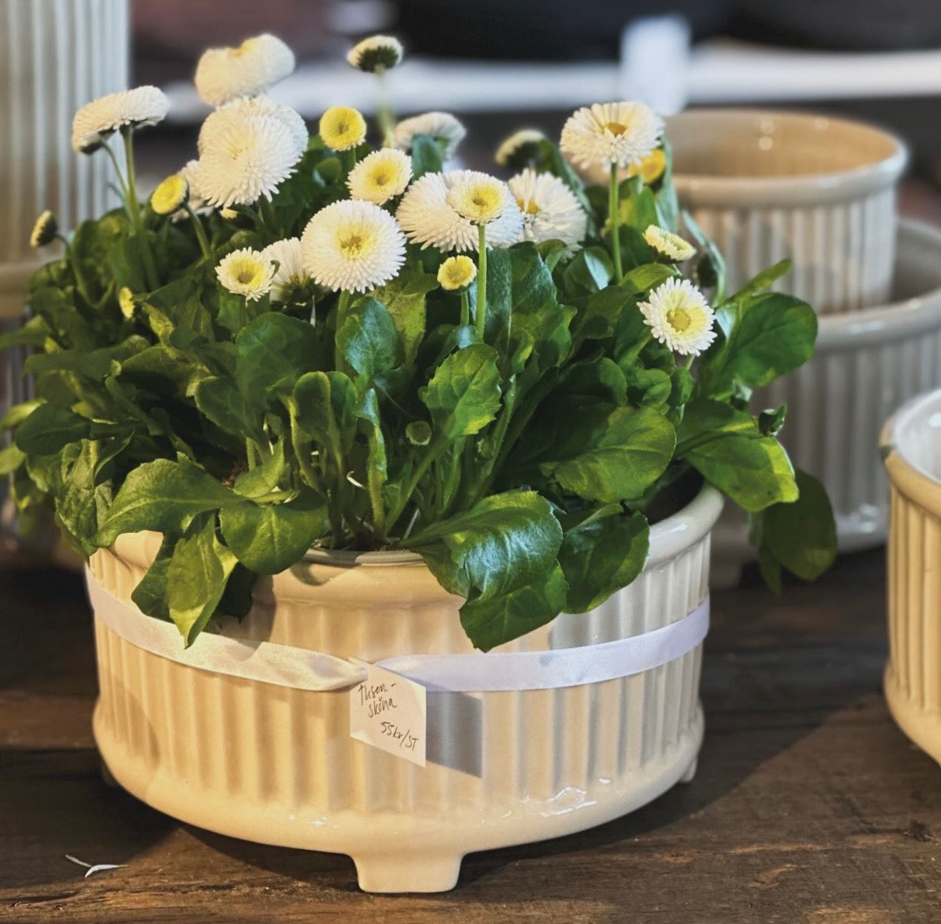 Bruka design blomsterkrukke Signe - Hvit